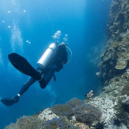 Divers House เกาะเต่า ภายนอก รูปภาพ