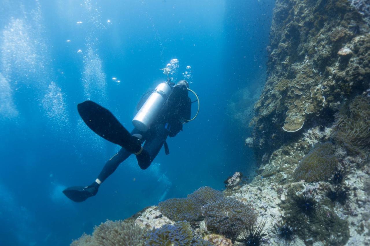 Divers House เกาะเต่า ภายนอก รูปภาพ