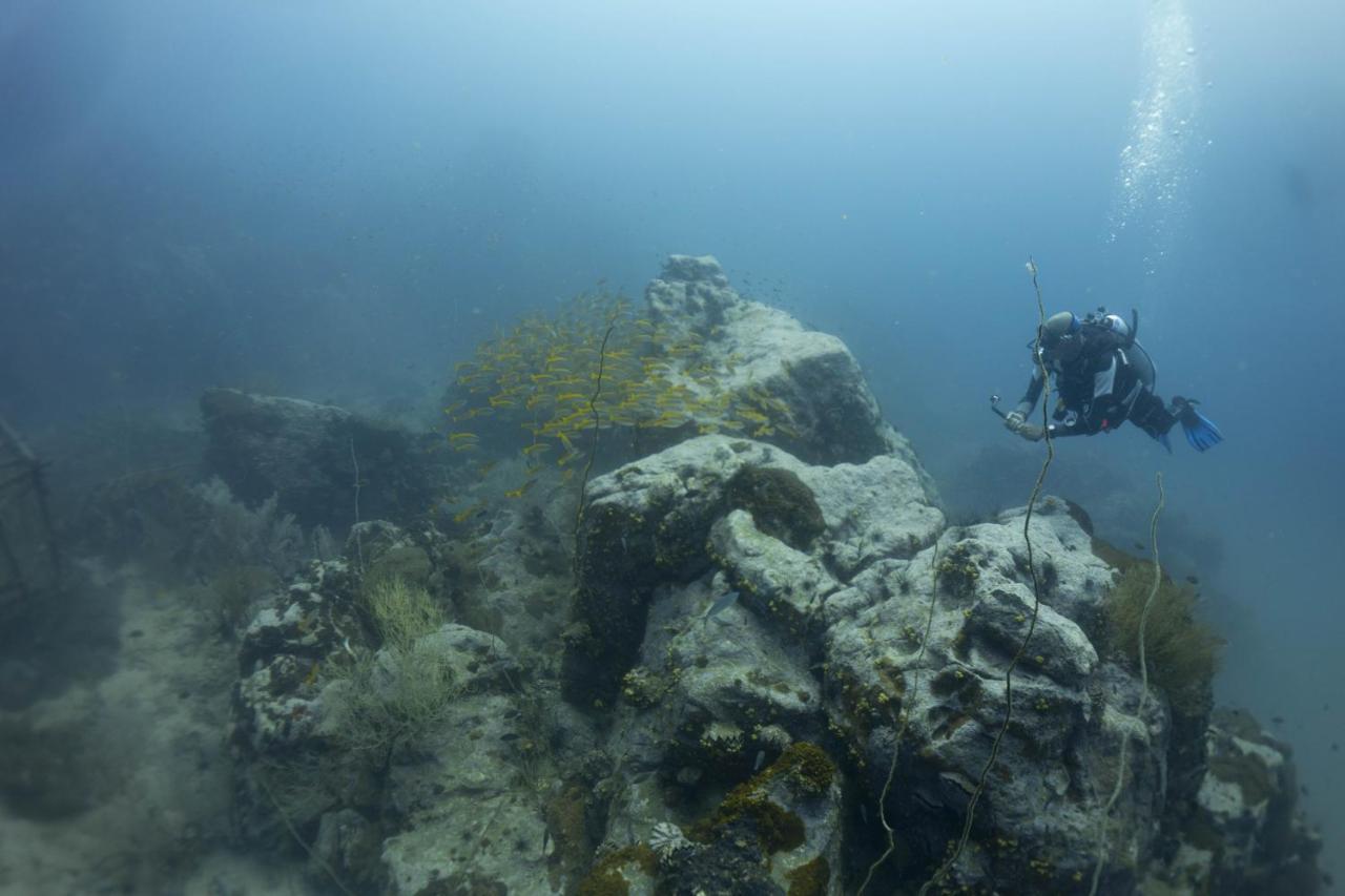 Divers House เกาะเต่า ภายนอก รูปภาพ