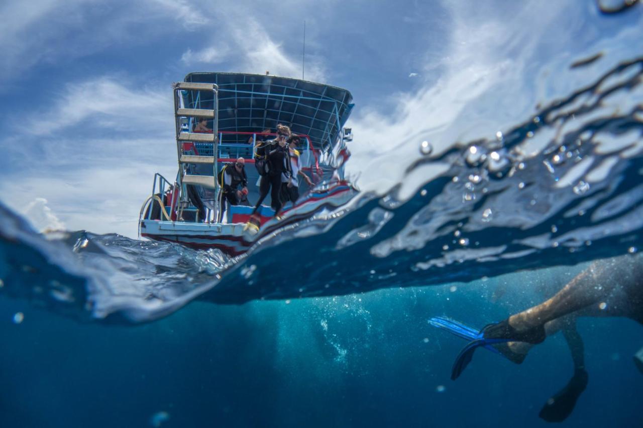 Divers House เกาะเต่า ภายนอก รูปภาพ